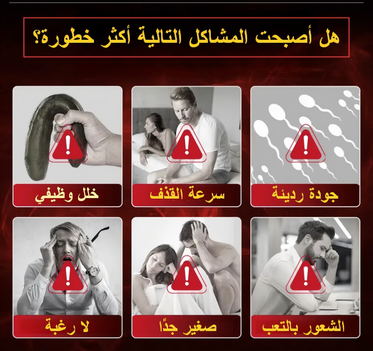 imgi_6_1776632718_69e5438e62bc2.png